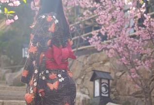 Jang Joo(장주)空姐：从云端到图库，一场飞行中的美丽冒险！