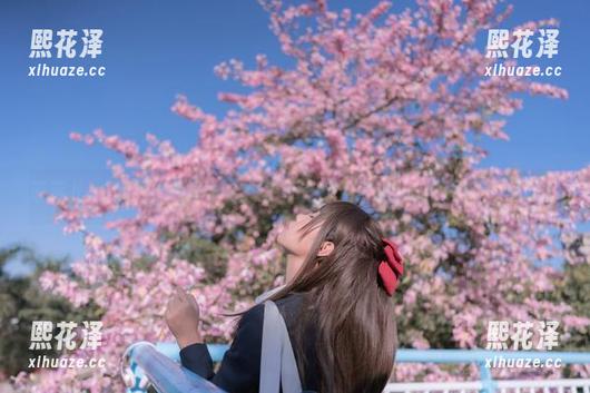 萌芽儿o0 萌芽儿o0的棉袜写真:连袜子都在努力卖萌,你还忍心不看吗?